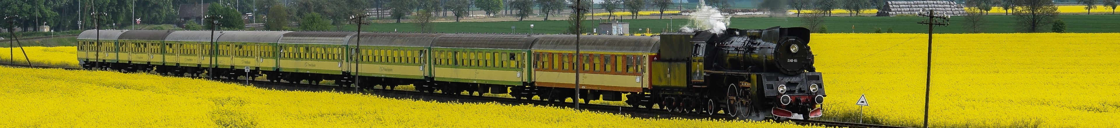 Strykowo - lokomotywa retro na trasie Poznań - Wolsztyn